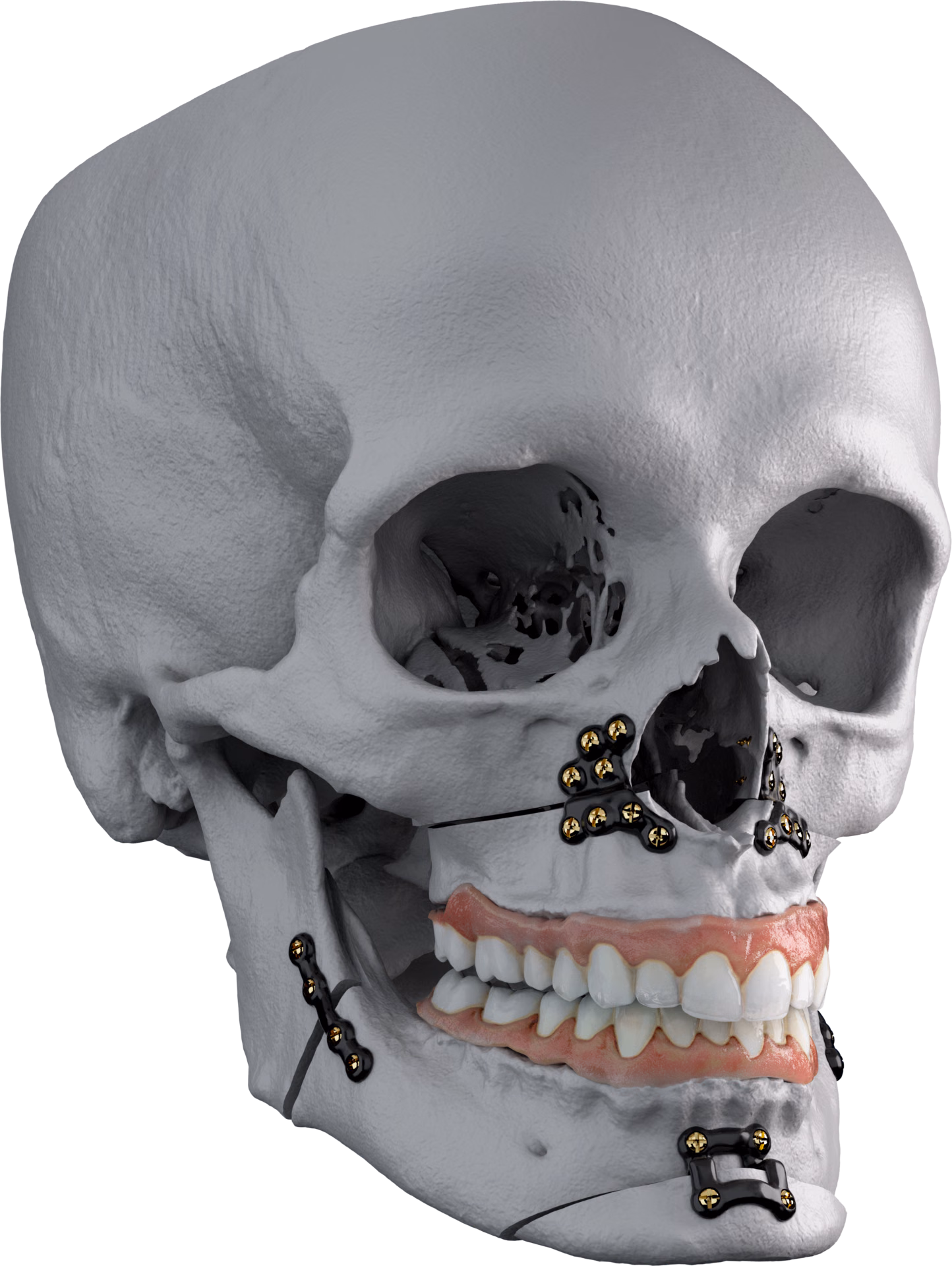 One anatomy. One project.